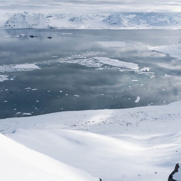 Ski og seil SeilNorge BB20190522 NP Svalbard A7R07510