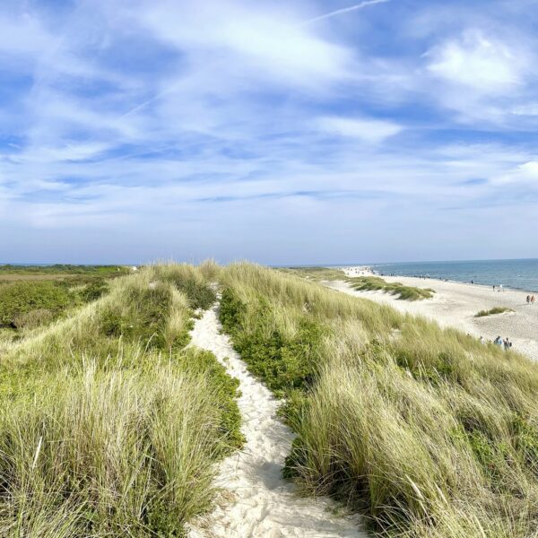 Skagen 2023 Landscape Photo Steven Blank