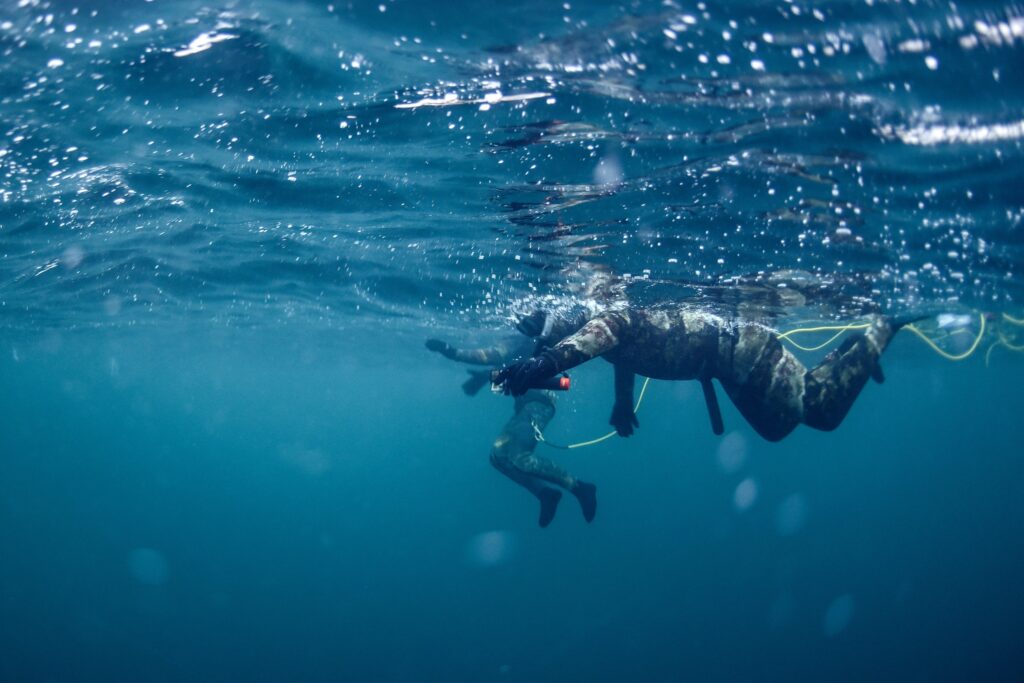 Tromso 2024 Seil Norge Valiente Orca Diving Trip Photograph: James Tomlinson