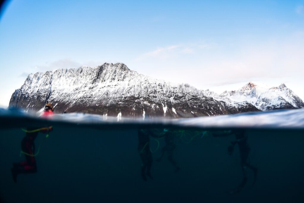 Tromso 2024
Seil Norge
Valiente
Orca Diving Trip
Photograph: James Tomlinson
