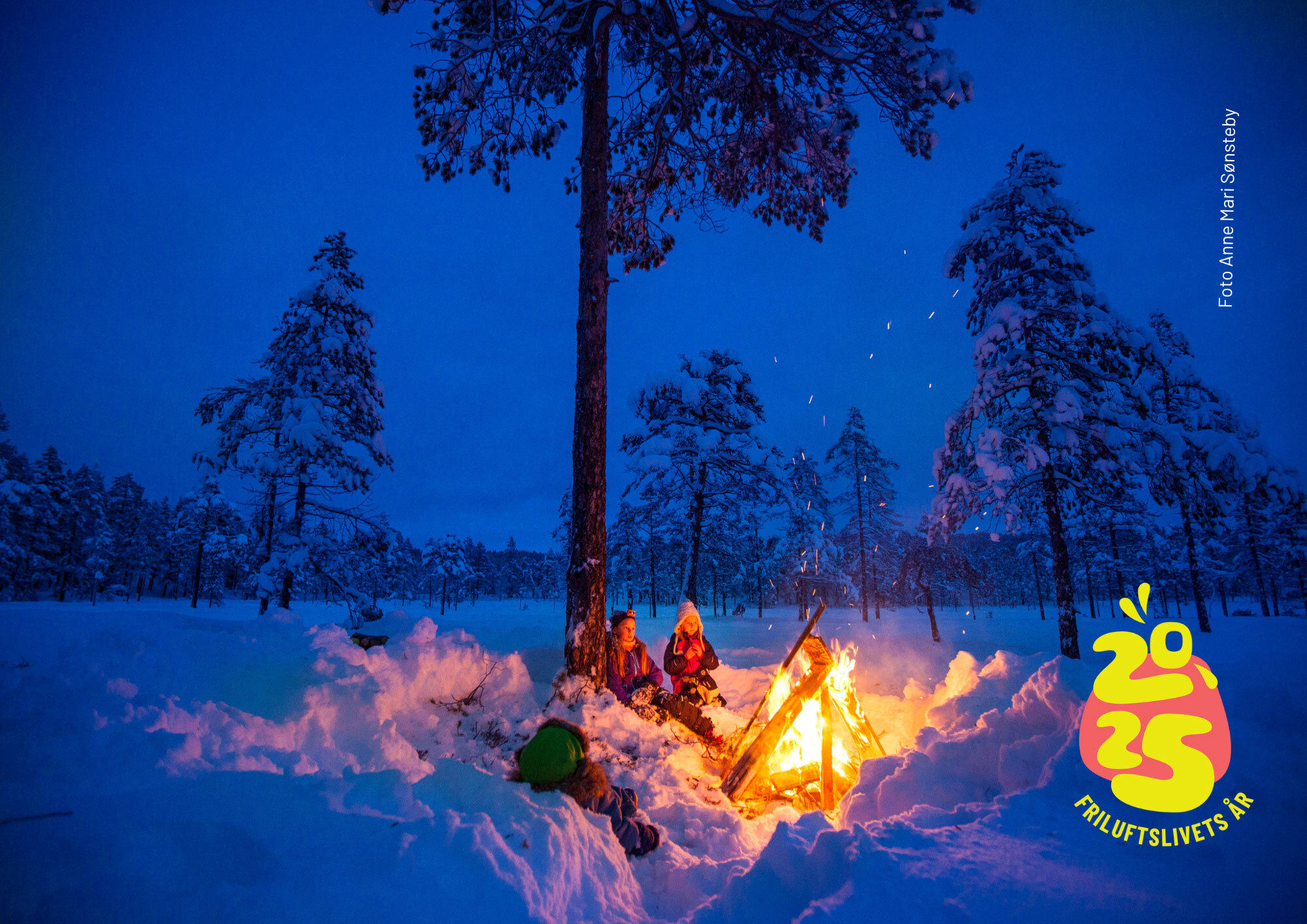 hele norge baaler