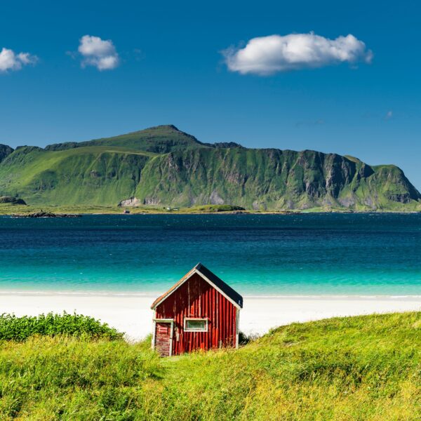 Lofoten Summer Nature Shutterstock Medium