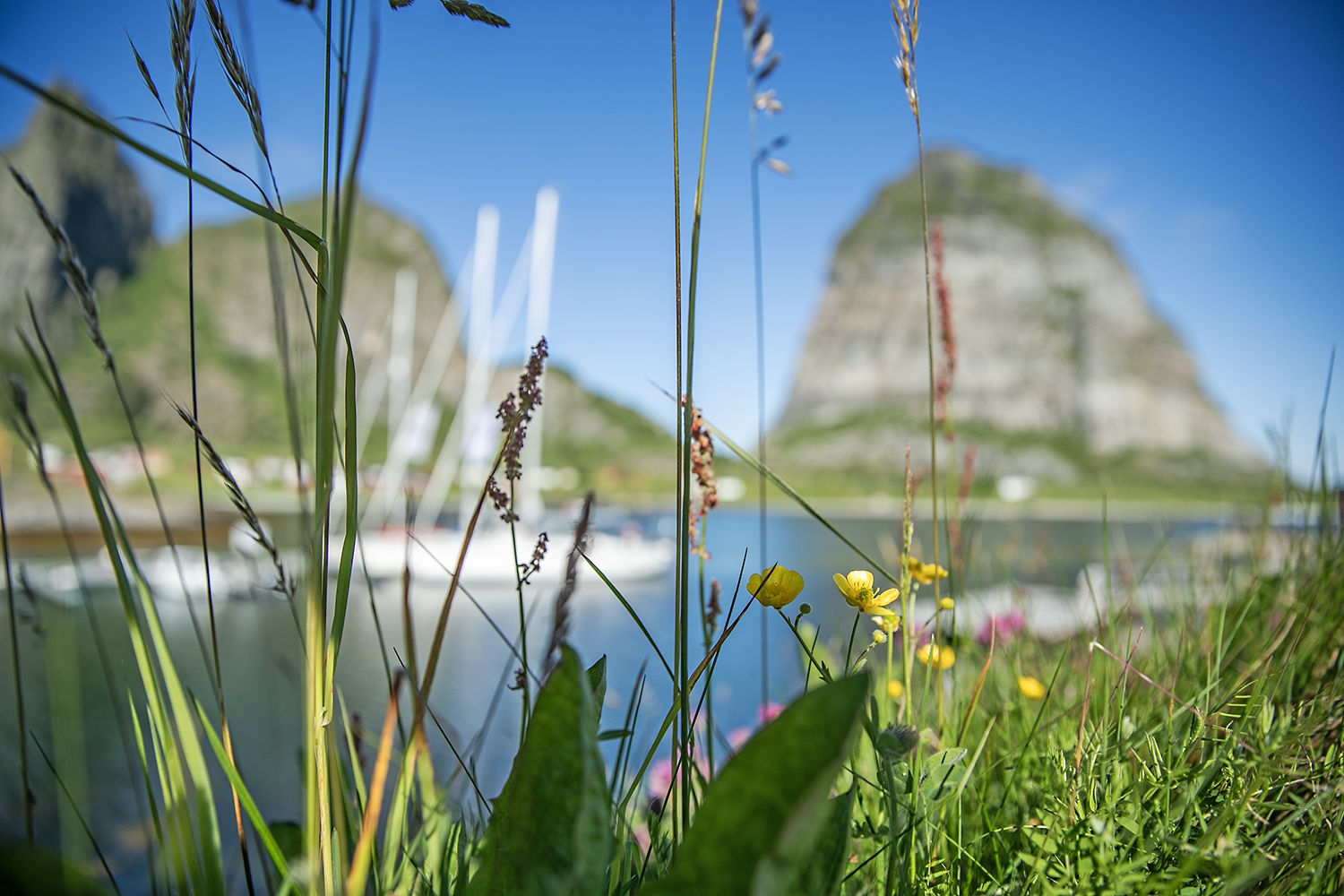 Ocen and Mountain Sport Helgeland Photo Trine Sirnes