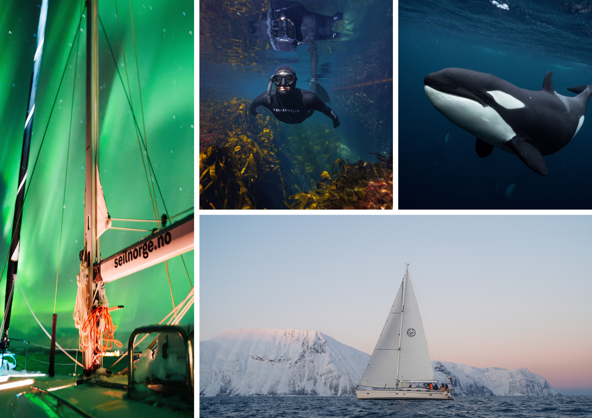 bildegalleri Tromsø